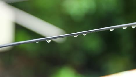 Clear-water-droplets-on-a-black-telephone-wire-after-rain