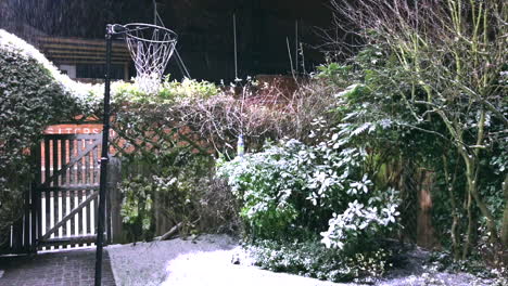 Snow-falls-past-a-Netball-Hoop-in-an-English-Cottage-Garden