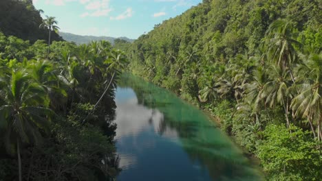 beautiful-forward-revealing-aerial-drone-shot-over-a-wide-asian-river-with-overhanging-palmtrees-over-the-water-and-green-forest-on-the-riverbanks-during-sunset-4k-drone-shot