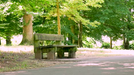 Empty-bench-in-park-next-to-path