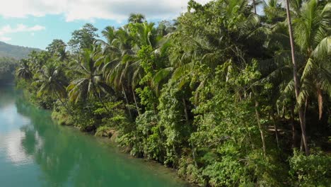 fly-by-aerial-drone-shot-from-lush-green-native-forest-and-palmtrees-next-to-a-big-green-river-in-the-middle-of-the-jungle-4k-aerial-side-shot