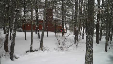 Snowfall-with-a-cabin-in-the-woods