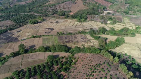 Aerial-Dolly-In-Shot-Valley-of-Agricultural-Fields-in-Thailand