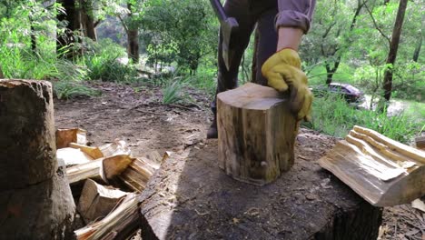 Pulling-axe-out-of-log-then-splitting-it-for-winter-fuel,-green-vegetation-behind---close-up-of-log,-mans-legs,-work-boots-and-work-gloves---Slow-Motion