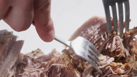 Shredding-pulled-pork-with-two-forks