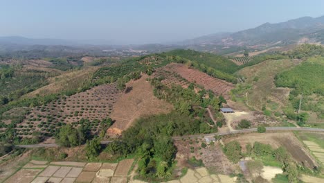 Bird's-Eye-View-Farm-Fields-Using-the-Technique-Shifting-Cultivation