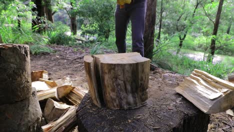 Man-splitting-log-with-axe-for-winter-fuel,-green-vegetation-behind---close-up-of-log---Slow-Motion