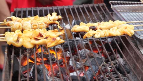 Skewers-Of-Squid-On-A-Barbeque-Cooking-On-A-Grill-Over-Open-Fire