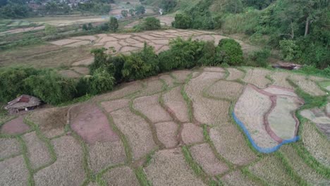 AERIAL-DOLLY-BACK-Revealing-Dry-Harvested-Rice-Paddy-Fields