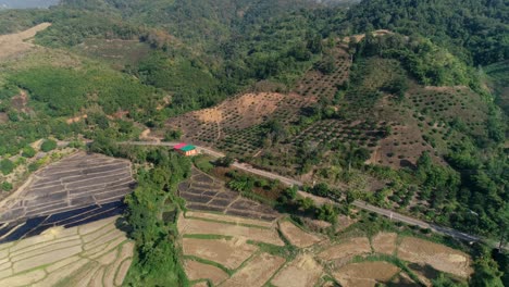 Aerial,-Thailand-Nachhaltige-Verlagerung-Von-Anbau-Und-Reisfeldern