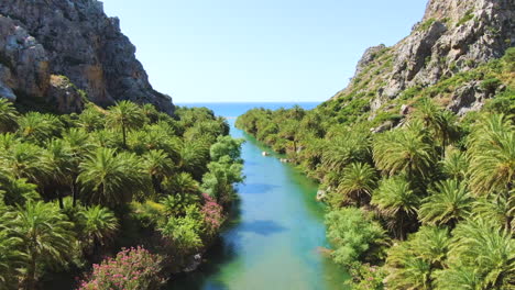 Palmeras-Que-Rodean-Un-Río-Prístino-Que-Fluye-Hacia-La-Playa-De-Preveli-En-La-Isla-De-Creta
