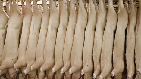 Schweine-Hängen-An-Haken-Im-Großen-Industriellen-Lachhaus-In-Dänemark