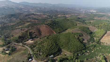 AERIAL,-Thailand-Sustainable-Shifting-Cultivation-Of-Tree-Plantation