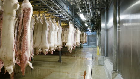 Schweine-Hängen-An-Haken-Im-Großen-Industriellen-Lachhaus-In-Dänemark