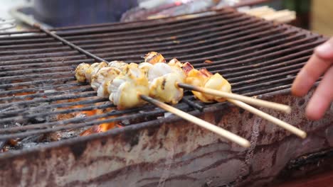 Squid-Skewers-Barbecued-Over-Hot-Coals,-CLOSE-UP