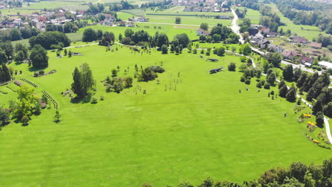 High-aerial-drone-shot-of-green-grass-meadow-and-trees