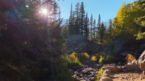 The-sun-peeks-between-the-trees-near-a-creek-in-Rocky-Mountain-National-Park