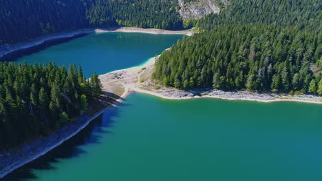 Aerial-view-of-lakes-between-the-mountains-surrounded-by-pine-forests