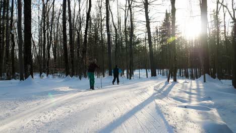 Skilanglauf-Durch-Die-Wälder-Von-Maine