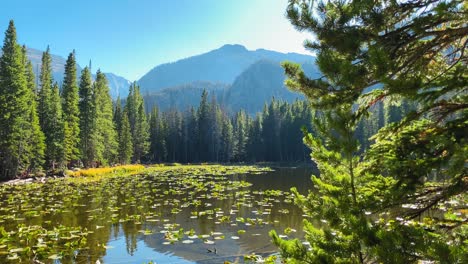 Peeking-around-the-trees-at-Nymph-Lake-in-Rocky-Mountain-National-Park-in-Colorado