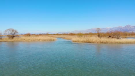 Paradise-lagoon-with-calm-clear-water-around-dry-reeds-and-trees-with-golden-color-under-bright-blue-sky-in-Skadar-lake