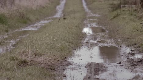 Puddles-rippling-in-wind-on-rural-farmland-country-lane-dirt-track,-still-shot