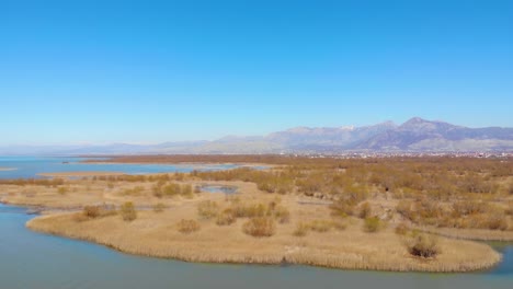 Beautiful-marshland-with-yellow-dry-reeds-on-shore-of-calm-lake-with-city-and-high-mountains-under-bright-blue-sky