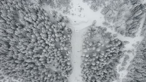 Ski-Lift-Transporting-Skiers-Over-The-Snowy-Mountain-With-Trees-In-Mestia,-Svaneti,-Georgia---Aerial-Shot