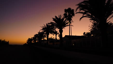 Palmen-Am-Strand,-Aufgenommen-Während-Des-Sonnenuntergangs,-Dunkler-Hintergrund-Aus-Blinkenden-Straßenlaternen-Und-Sturmblättern,-Die-Sich-Im-Wind-Bewegen,-Aufgenommen-In-Zeitlupe-Mit-120-Fps