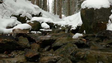 A-creek-flowing-down-the-slope-between-the-stones,-in-the-background-are-snowdrifts-and-a-forest