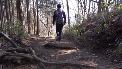 A-Young-Hikers-Walking-On-The-Forested-Mountain-With-His-Backpack---Wide-Shot