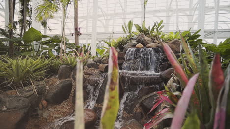 Slow-motion-botanical-garden-greenhouse-stream-with-amazon-plant-species,-Curitiba,-Brazil