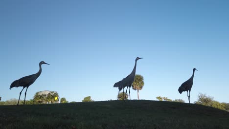 Silhouette-Cranes-Stand-Tall-with-Sunny-Blue-Sky-Background,-Static-Wide-Shot