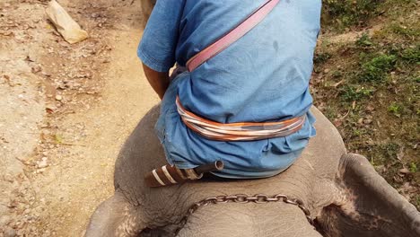 Rücken-Eines-Mannes,-Der-Auf-Einem-Elefanten-Reitet