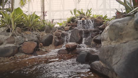 Slow-motion-famous-botanical-garden-greenhouse-stream-with-amazon-plant-species,-Curitiba,-Brazil