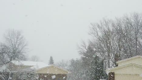 Nieve-Cayendo-En-Un-Día-Frío-En-Un-Barrio-Panorámico,-Nadie