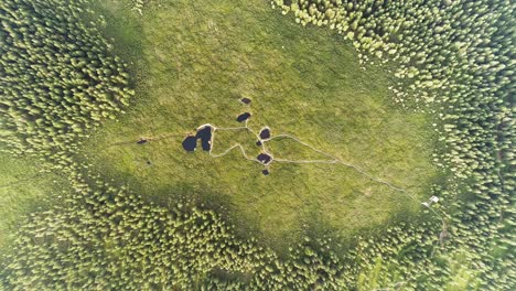beautiful-aerial-zoom-in-of-Lovrenska-Lakes-with-pine-trees,-walkway-,-water