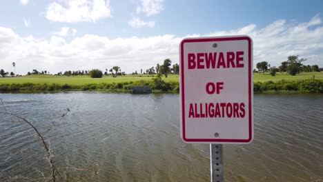 Vorsicht-Vor-Alligatorenzeichen-Durch-Plätschernden-Teich-Mit-Kopierraum,-Statisch