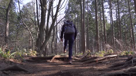 Young-Man-Out-For-Hike-In-The-Forested-Mountain-With-His-Backpack--low-angle-shot