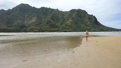 Beautiful-Woman-on-Breathtaking-Pristine-Beach-on-Island-of-Oahu,-Hawaii