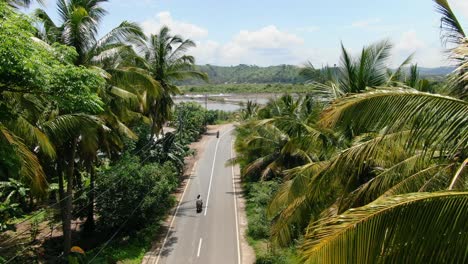 Aerial-view-slow-moving-shot,-motorcycles-passing-on-the-southern-road-of-Lombok,-scenic-view-of-palm-trees-and-rice-fields-in-the-background