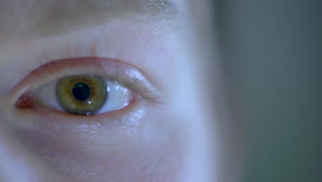 Close-up-shot-of-a-green-eye-opening,-with-the-pupil-adjusting-at-the-light