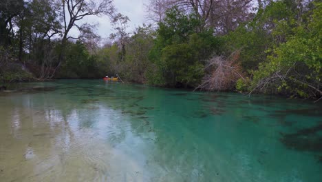 Two-persons-are-enjoying-kayaking-and-paddling-their-kayaks-through-the-magical-clear-blue-water-of-Weeki-Wachee-State-Park-Spring-River