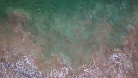 Aerial-overhead-shot-of-a-green-ocean-with-big-waves-reaching-the-beach