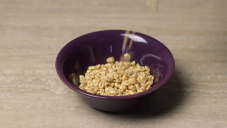 Close-up-of-honey-wheat-cereal-falling-in-empty-purple-bowl-on-counter