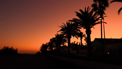 Palmen-Am-Strand,-Die-Während-Des-Sonnenuntergangs-Aufgenommen-Wurden,-Dunkler-Hintergrund-Aus-Blinkenden-Straßenlaternen-Und-Sturmblättern,-Die-Sich-Im-Wind-Bewegen