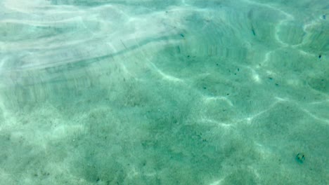 Shallow-clear-underwater-background-with-white-sand-floor-and-sunlight-ripples