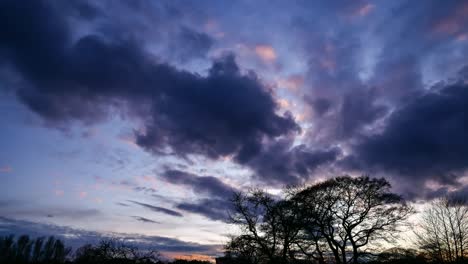 Purple-and-Orange-Sunset-Sky-Over-Trees-Timelapse