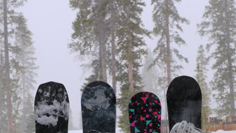 Snowy-forest-backdrop,-four-snowboards-planted-in-the-ground