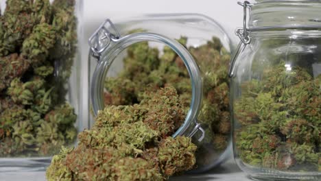 Dolly-shot-of-harvested-cannabis-blooms-in-jars-in-front-of-a-white-background